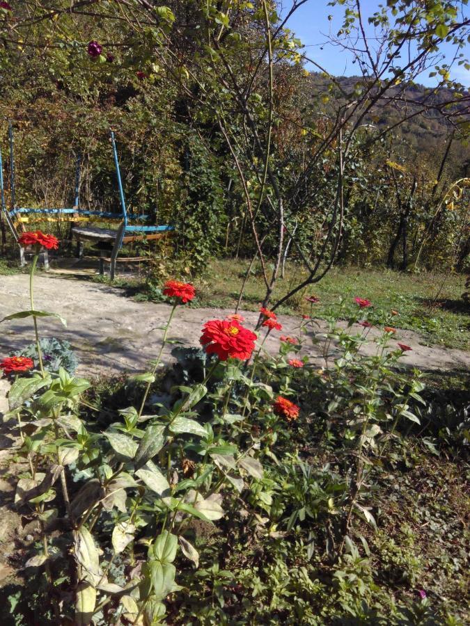9 Plus - Orbeli Екстер'єр фото